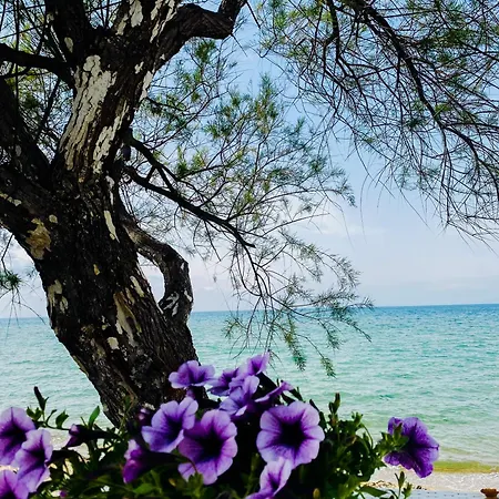 Le Panorama - Rooftop & Climatisation Μονπελιέ